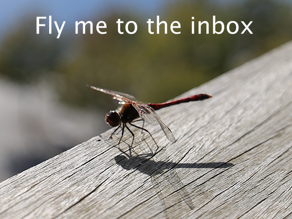 Blacklisted Here’s What to Do